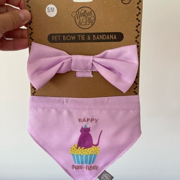 Winifred & Lily Happy Purr day cat bandanna and bow set  new feline fur kitty - Picture 12 of 14